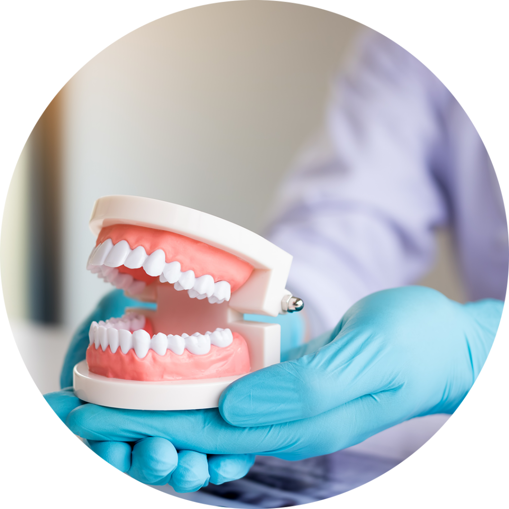 Best Prosthodontist in Abu Dhabi Al Bahri Dental